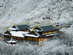 -黄龙山原始森林景区