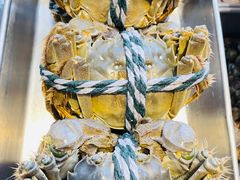 -华盛丰温州大排档(东三环南路店)