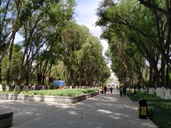 -西宁市人民公园(城西区)