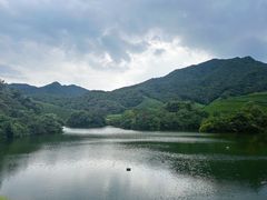 -龙坞茶村