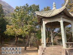 -阳台山自然风景区