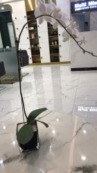 -悦Salon发型设计