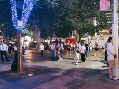 -静安公园(静安寺街道)