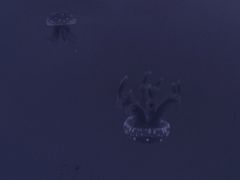-常州海昌海洋探索馆