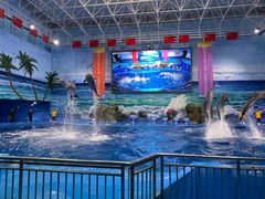 -多彩贵州城极地海洋世界