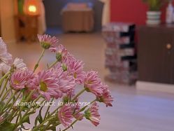 -YZ誉株·塑颜美容中心