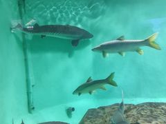 -太平洋海底世界