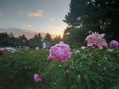 -长春公园(普阳街道)