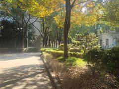-南京财经大学(仙林校区)
