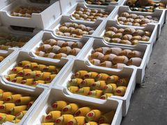 -南京众彩农副产品配送有限公司
