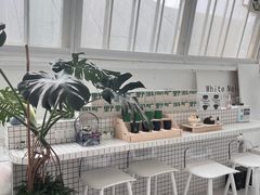 -白噪音White Noise·798概念店