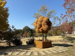 -塔川景区