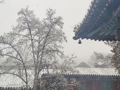 -潭柘寺景区