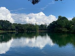 -蝴蝶泉公园