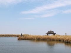 -宁波杭州湾国家湿地公园