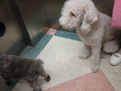 -西贝(上海新梅广场店)