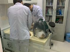 -全心全意连锁动物医院(加州店)