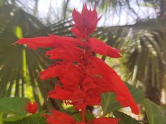 -合肥滨湖国家森林公园