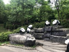 -都江堰中华大熊猫苑