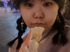 -IL paperino帕帕里诺冰激凌