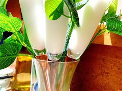 -探窝·竹笙椰子鸡(杨箕店)