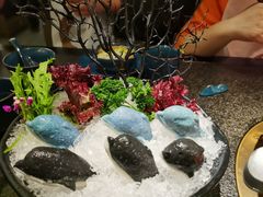 -湊湊火锅·茶憩(打浦桥日月光店)