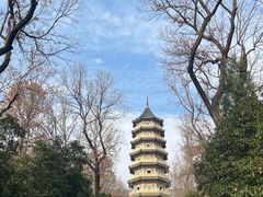 -灵谷景区