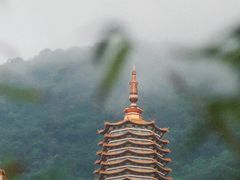 -深圳仙湖植物园