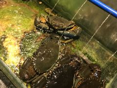 -Isla Sugbu Seafood City