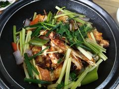 -新合益乡村农庄