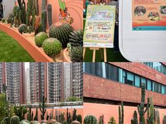 -新城市广场