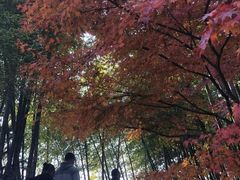 -径山寺