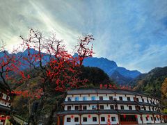 -秦岭天竺山生态文化旅游景区