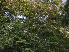 -水濂山森林公园