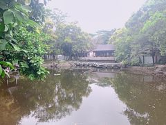 -深圳国际园林花卉博览园