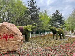 -长白岛森林公园