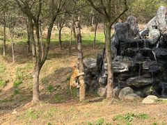 -杭州野生动物世界