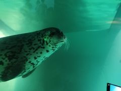 -青岛海底世界-水族馆