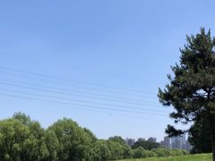 -长白岛森林公园