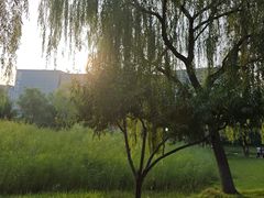 -韩城古城