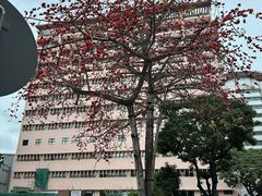 -美居大酒楼(美居广场店)