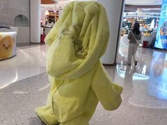 -深圳龙华星河COCO City(民治店)