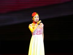 -陕北民歌大舞台