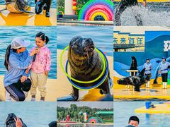 -秦皇岛乐岛海洋王国