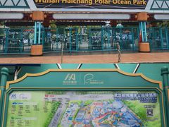 -海合安武汉极地海洋公园