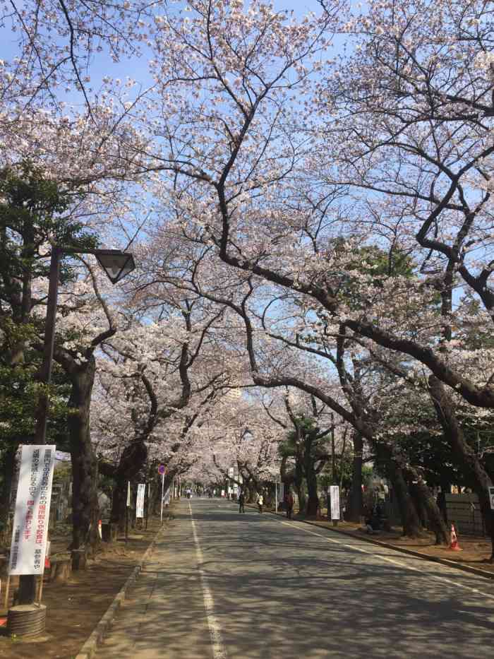 谷中灵园-"打卡签到值得去当天下雨了没有猫就有."-大众点评移动版
