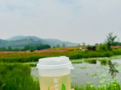 -径山花海
