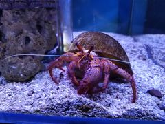 -太平洋海底世界