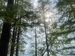 -东湖落雁景区