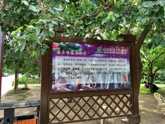 -御林古桑园